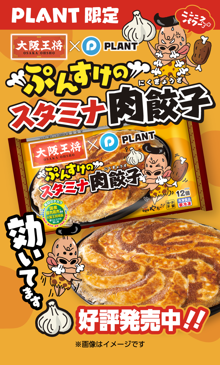 ぷんすけのスタミナ肉餃子