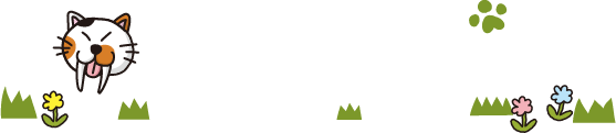 お知らせニャッ！