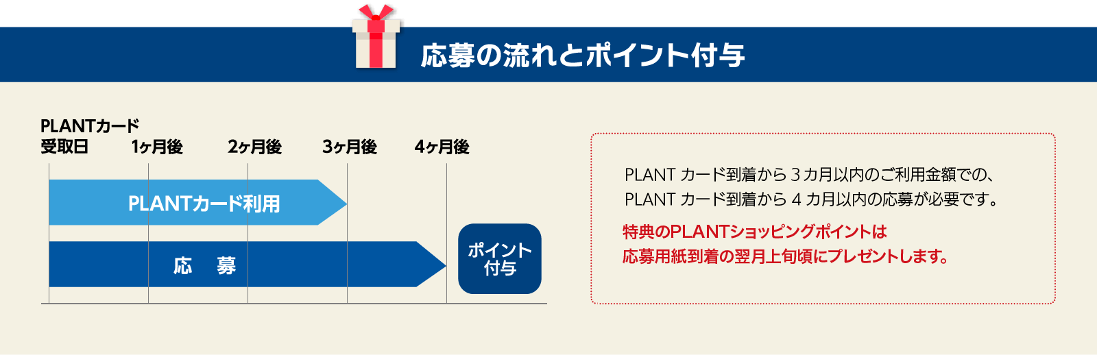 応募の流れとポイント付与