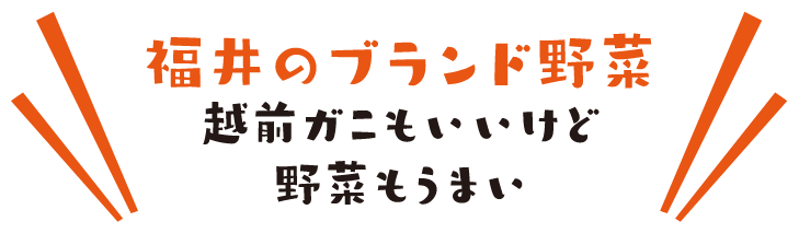 福井のブランド野菜