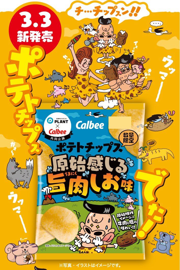 3月3日 新発売