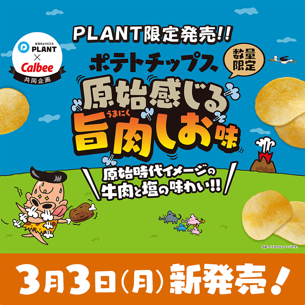 ポテトチップス 原始感じる旨肉しお味