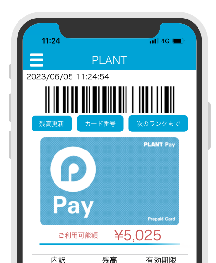 1.PLANT Pay