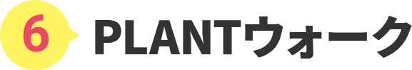6.PLANTウォーク