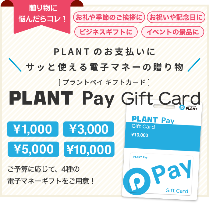 PLANTのお支払いに、サッと使える電子マネーの贈り物　PLANT Pay Gift Card