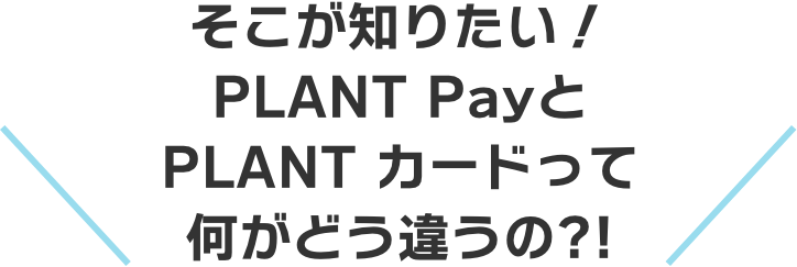 PLANTで一番お得なお支払い方法とは?!|PLANT Pay|PLANT公式 PLANTで一番お得なお支払い方法とは?!|PLANT Pay|PLANT公式