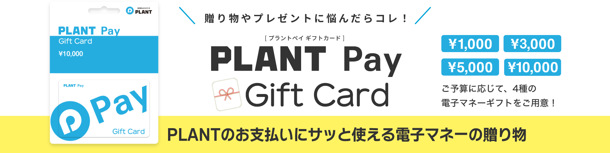 贈り物やプレゼントに悩んだらコレ！PLANT Payギフトカード