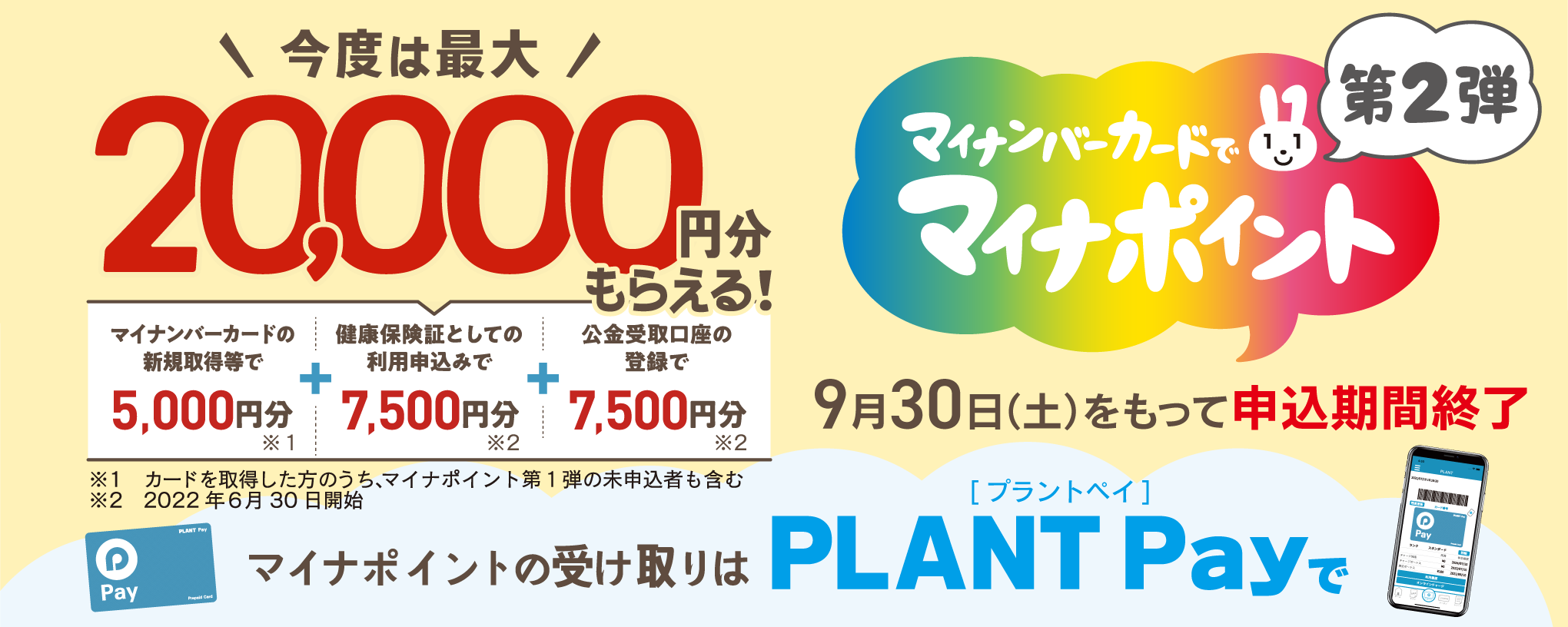 マイナポイント